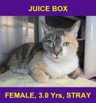 JUICE BOX